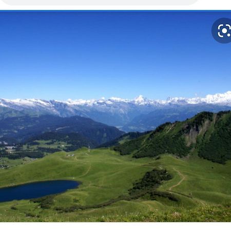 Studio Cabine Praz De Lys Taninges Luaran gambar
