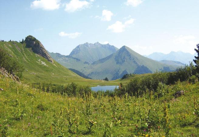 Studio Cabine Praz De Lys Taninges Luaran gambar