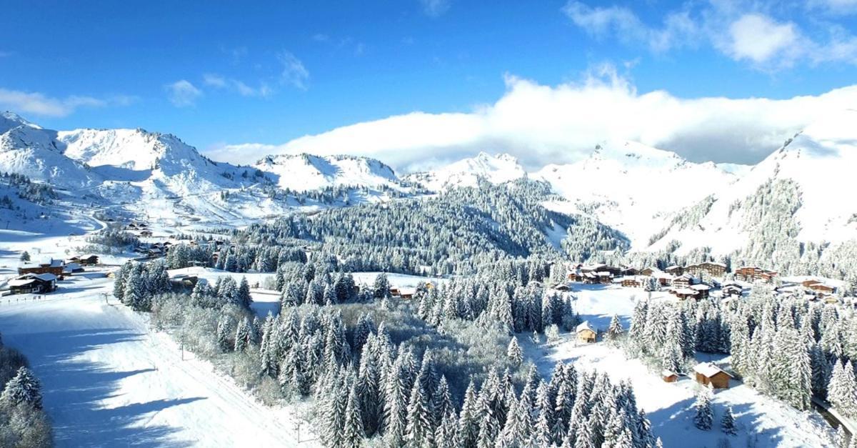 Studio Cabine Praz De Lys Taninges Luaran gambar