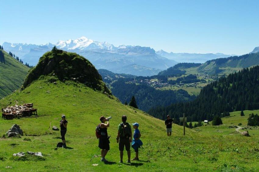 Studio Cabine Praz De Lys Taninges Luaran gambar