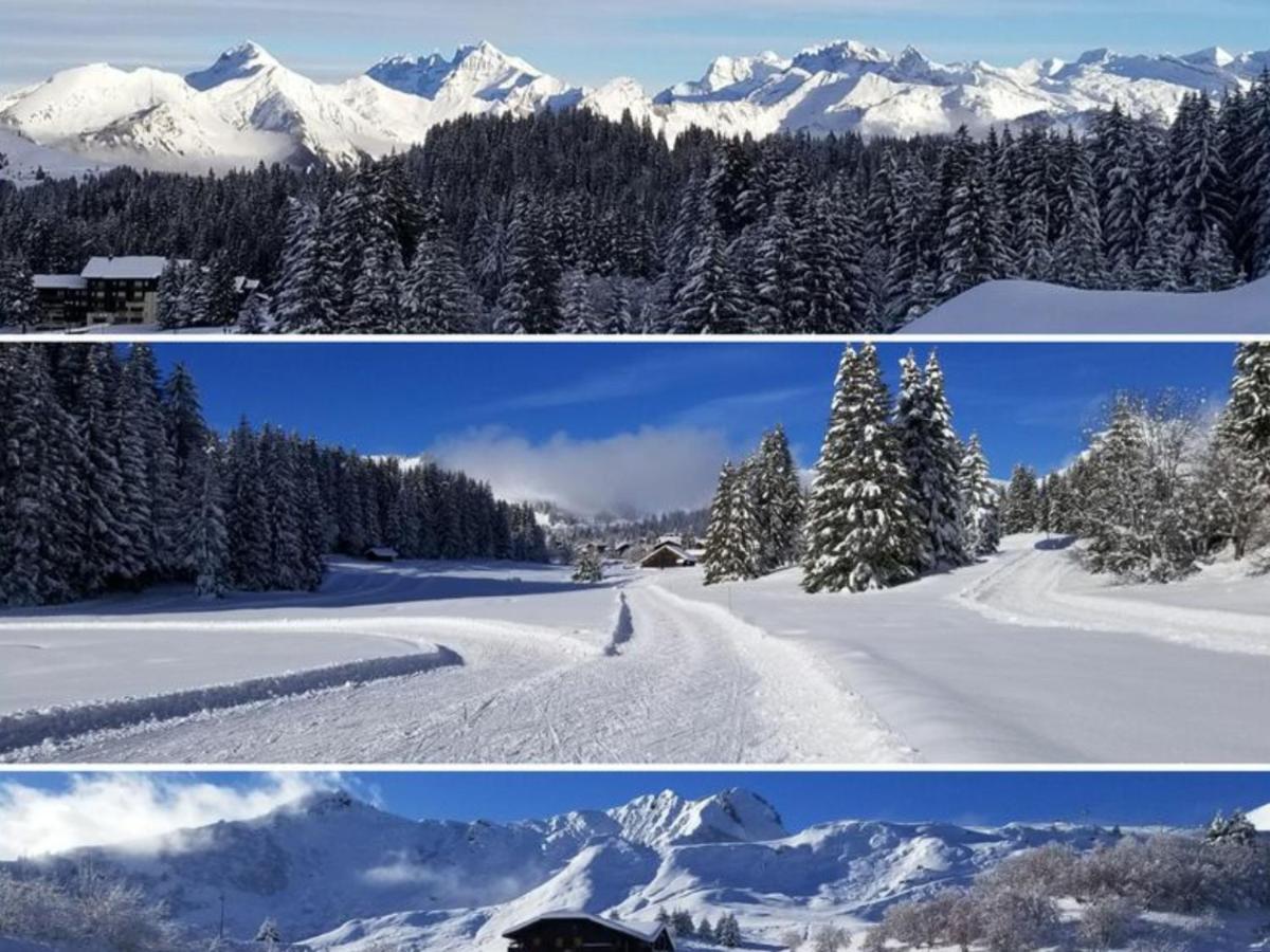 Studio Cabine Praz De Lys Taninges Luaran gambar