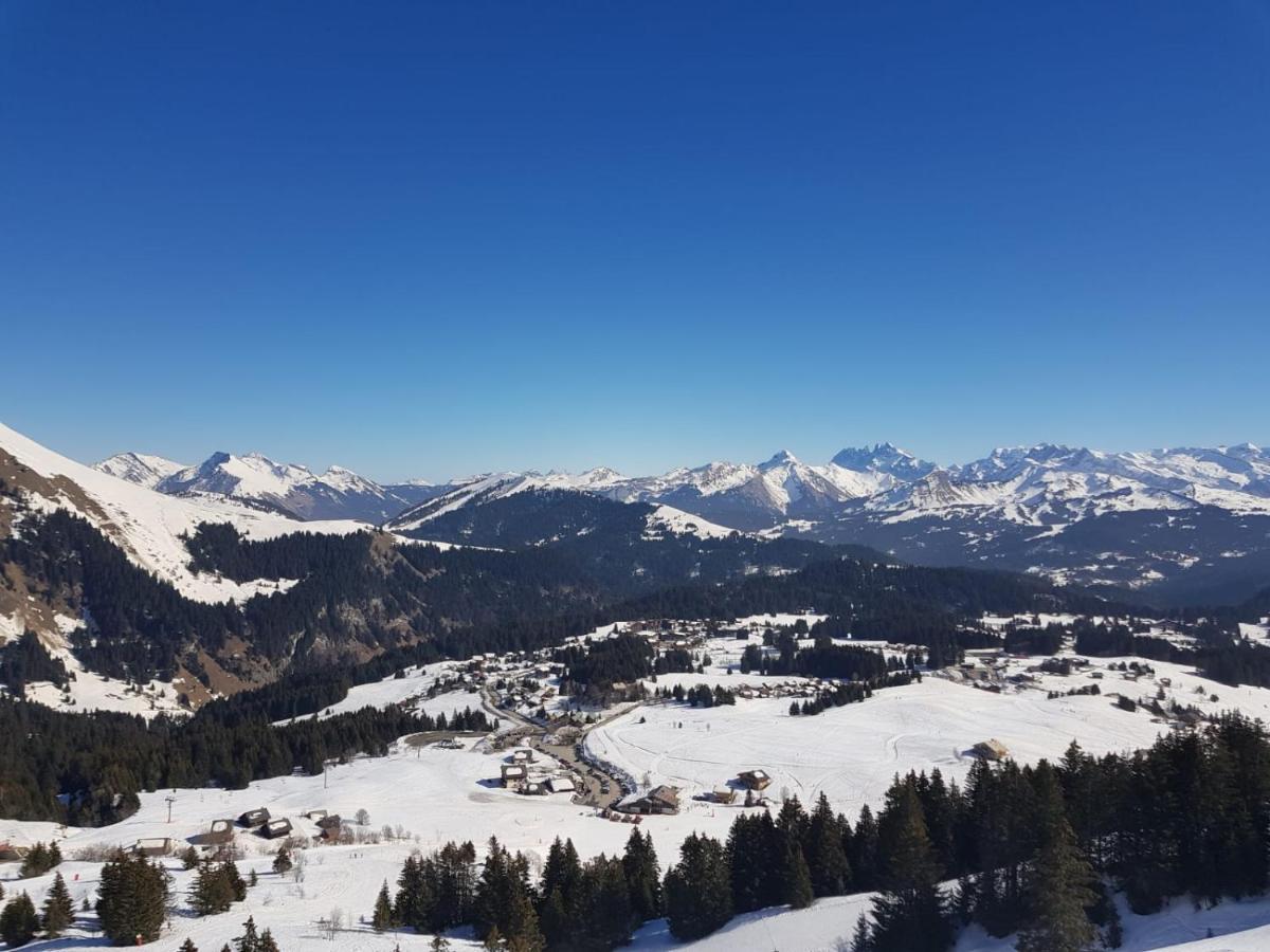Studio Cabine Praz De Lys Taninges Luaran gambar