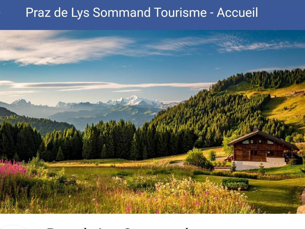 Studio Cabine Praz De Lys Taninges Luaran gambar